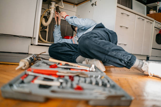 Best Local Plumber Services  in North Braddock, PA